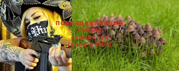 хмурый Краснотурьинск