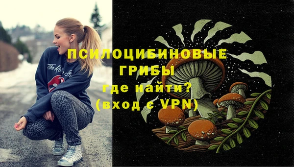 ECSTASY Краснослободск