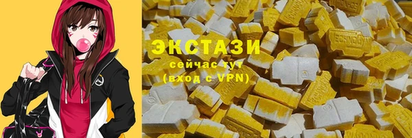 ECSTASY Краснослободск