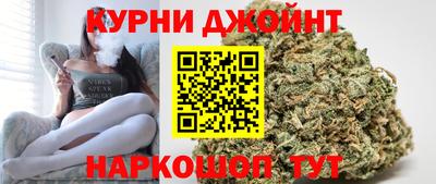 прущие грибы Гатчина