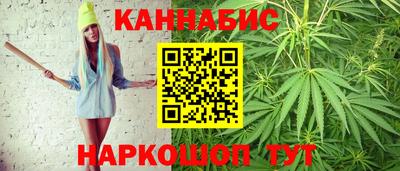 прущие грибы Гатчина