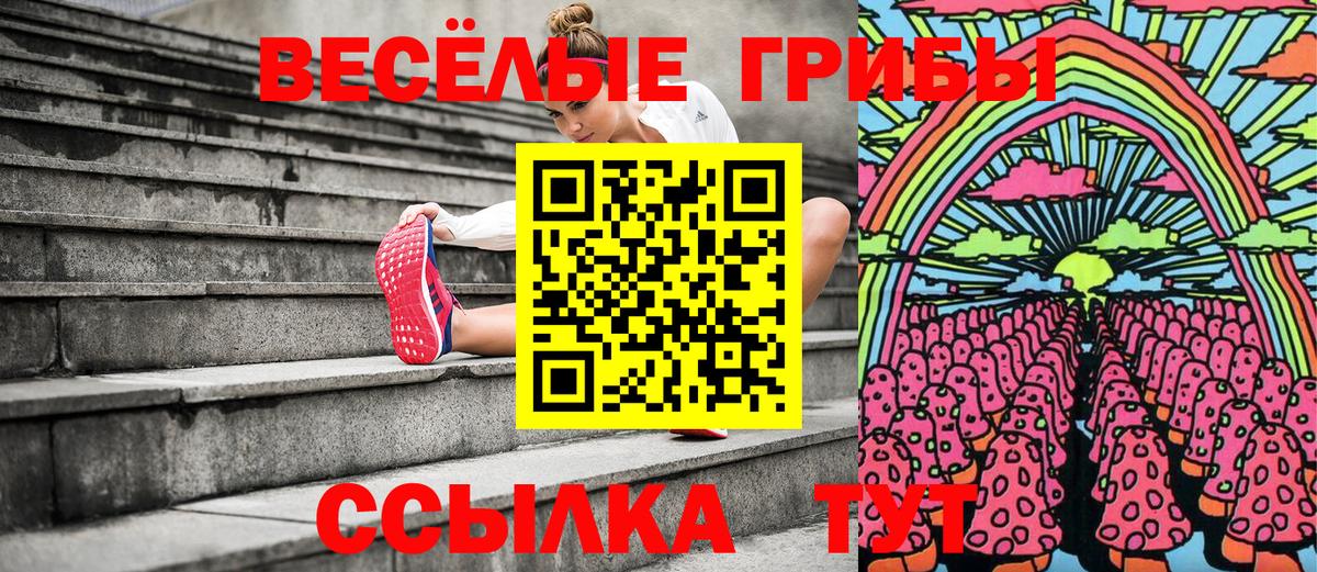 Псилоцибиновые грибы ЛСД Ярославль